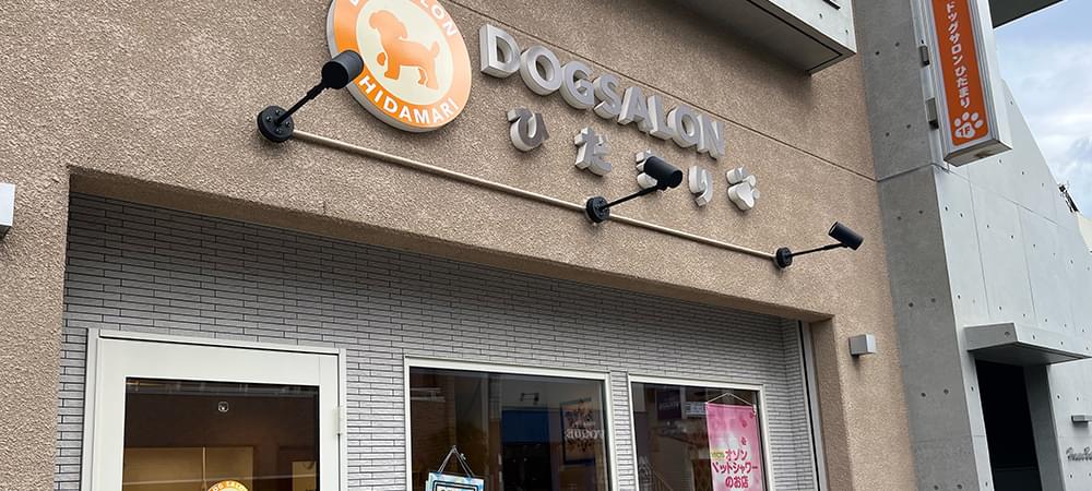 サロン情報